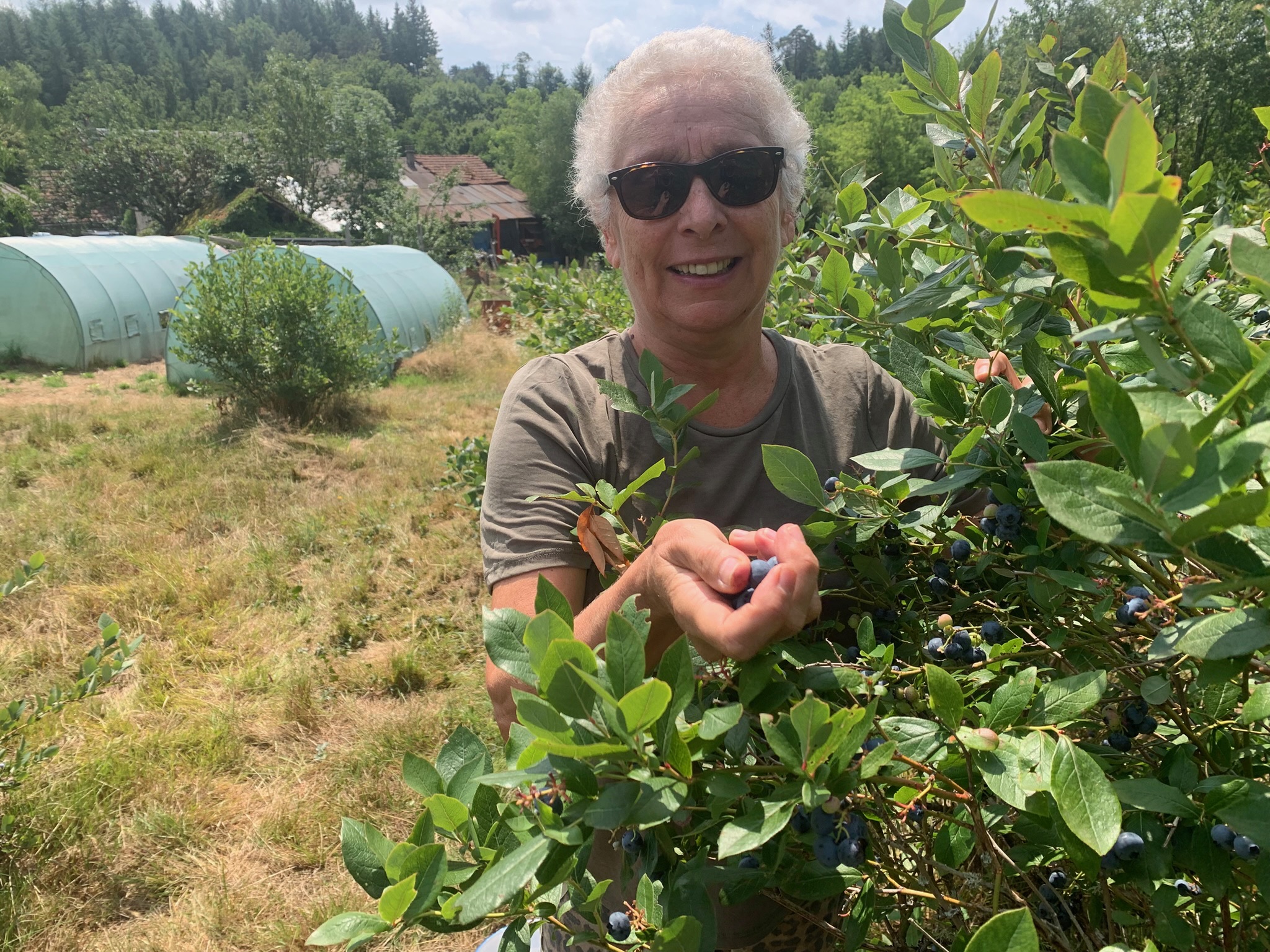 Cueillette des fruits au jardin